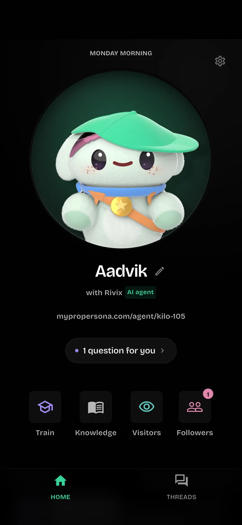 App home screen: Aadvik with Rivix (agent of Aadvik), one question for you, and Train, Knowledge, Visitors and Followers.